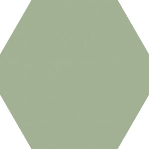 Codicer-Basic-Olive-Hex25